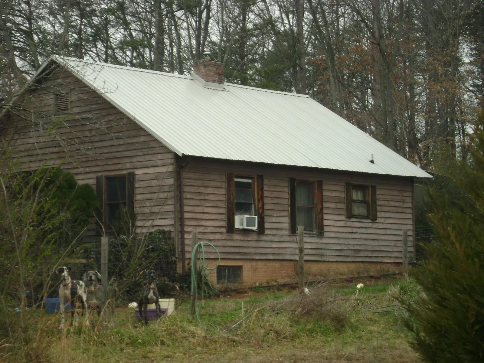 White metal roof on an old wood sided farmhouse, from a Metal Roof Installation job in Imogene